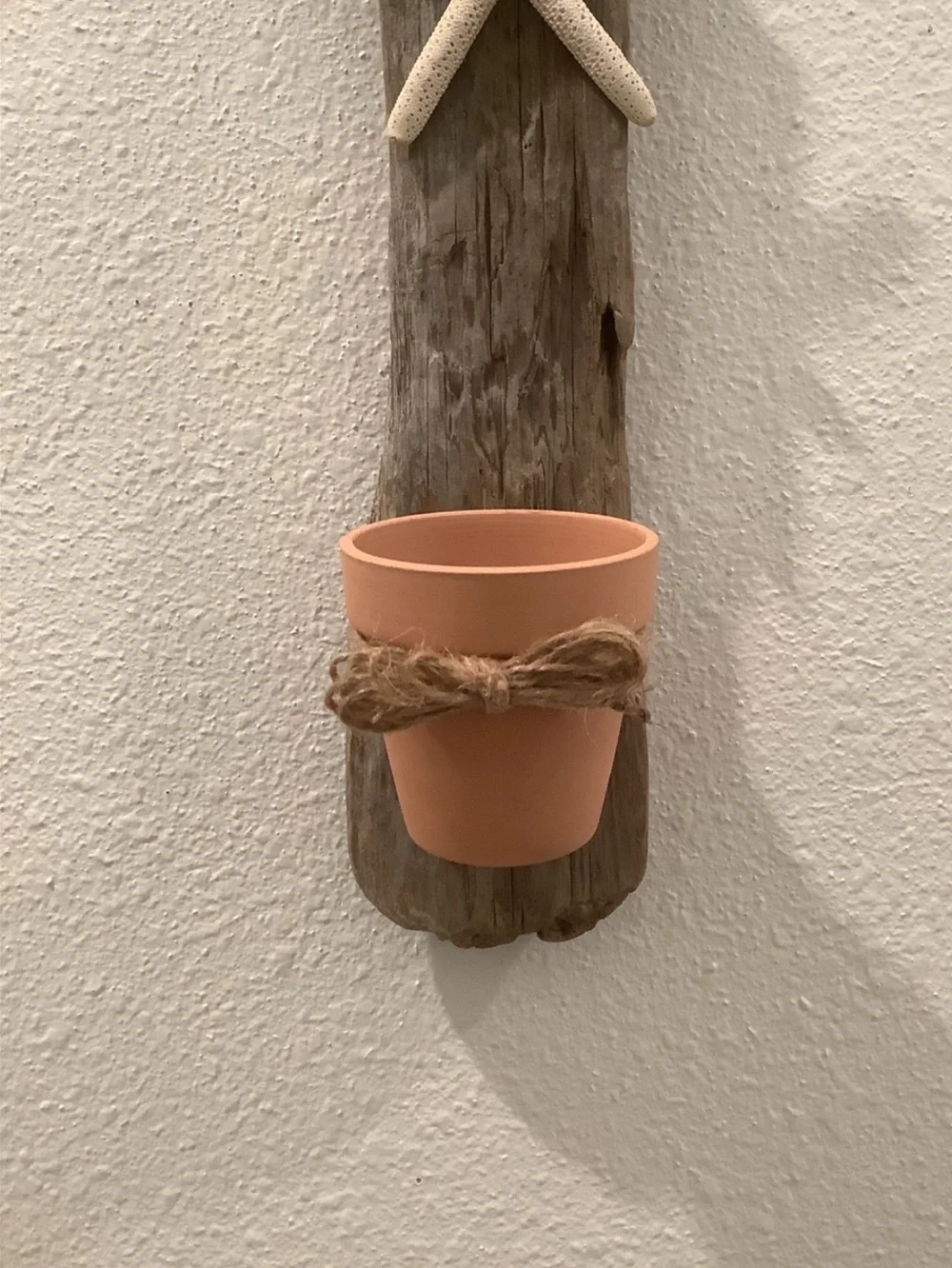 Driftwood Art, Driftwood & Starfish Planter, Driftwood Wall Art